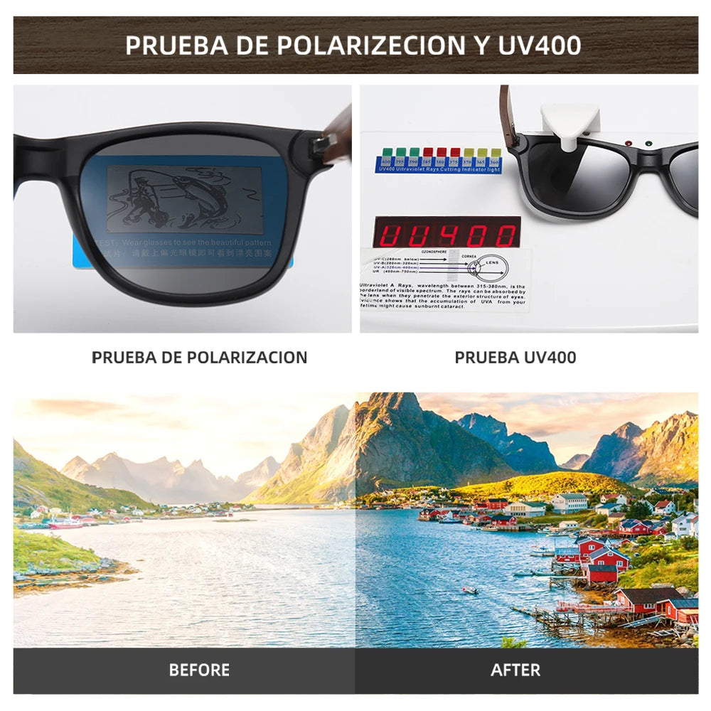 ClassicWave Wayfarer Sunglasses